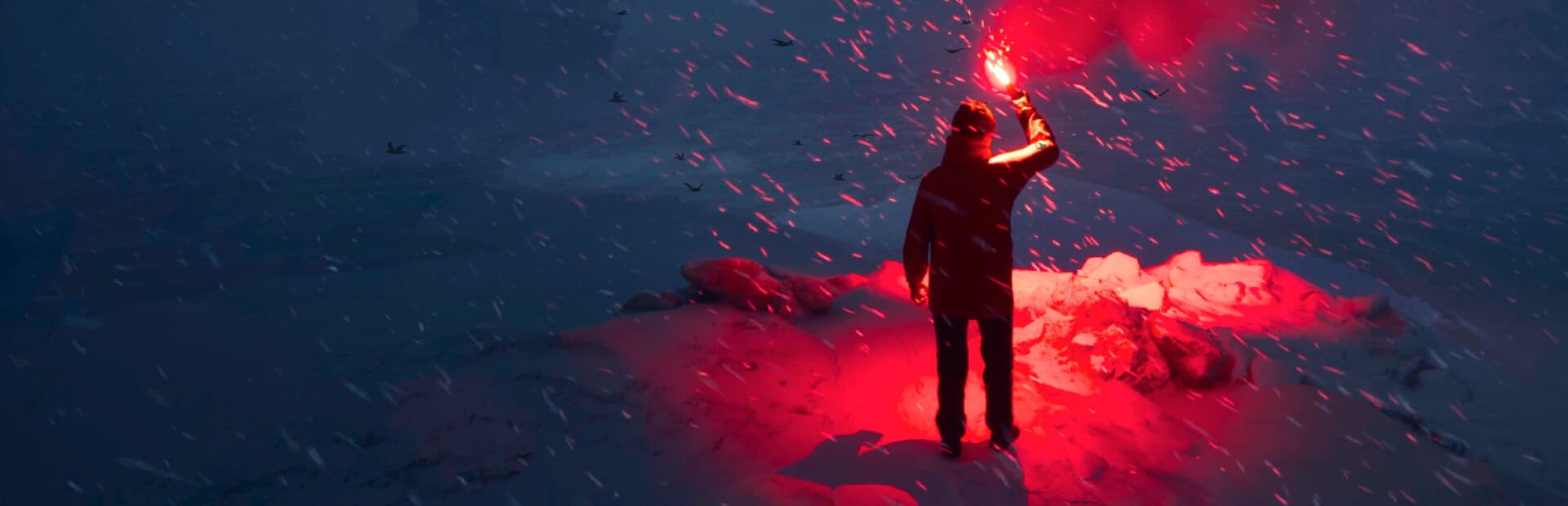 Will: Follow the Light